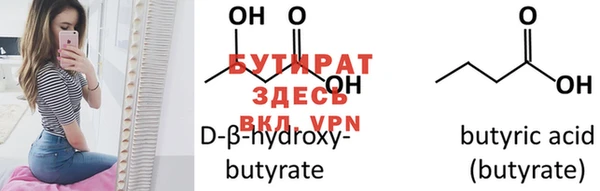 крисы Бородино